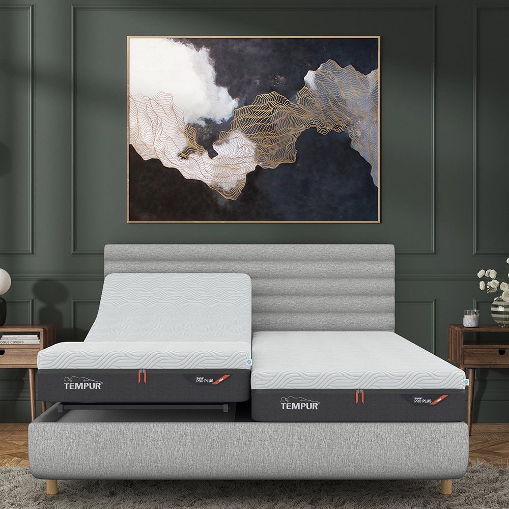 Tempur Arc Bed Vectra
