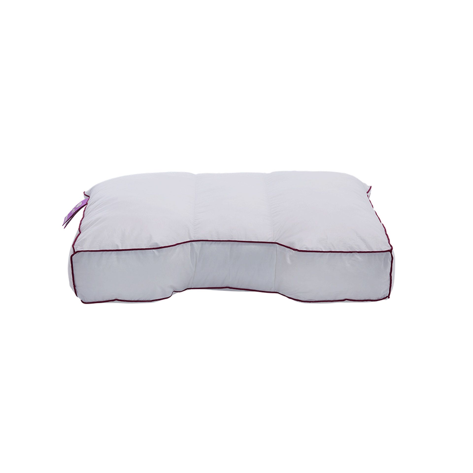 Silvana Comfort Paars Kussen